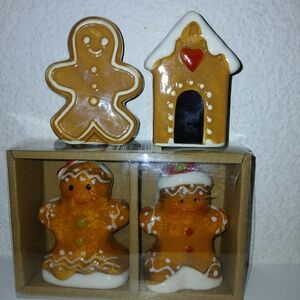 T.J.Maxx Brown and White Gingerbread Holiday Salt And Pepper Shakers